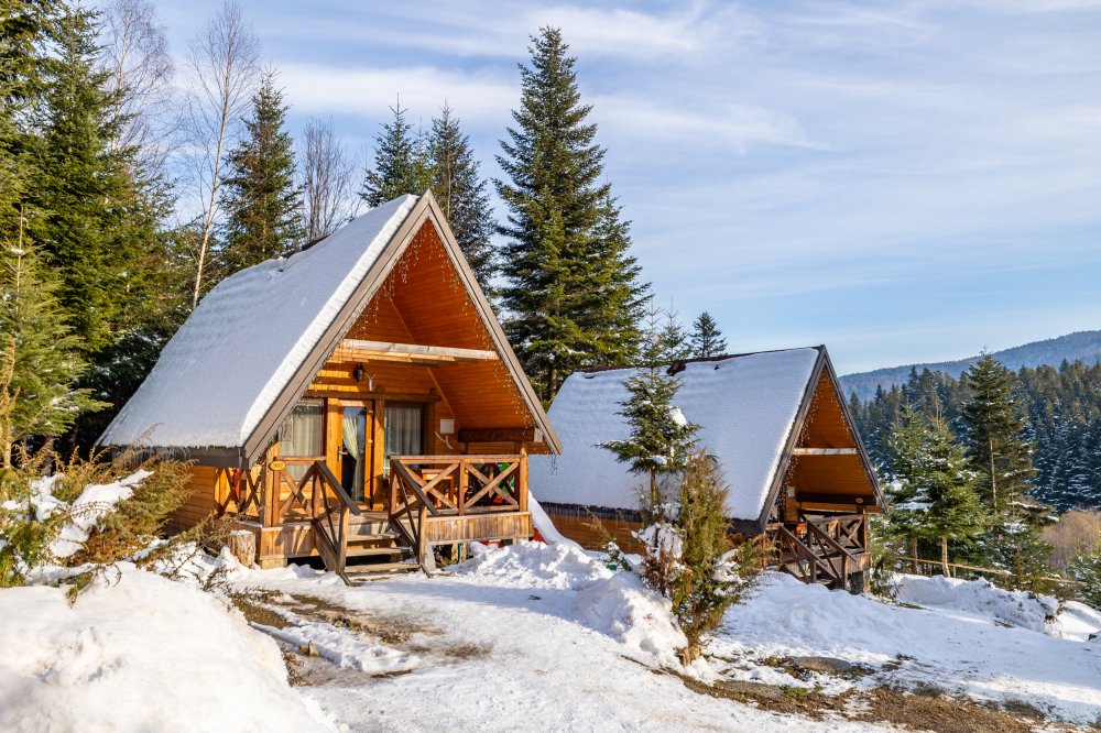 Котедж 2+2 під лісом