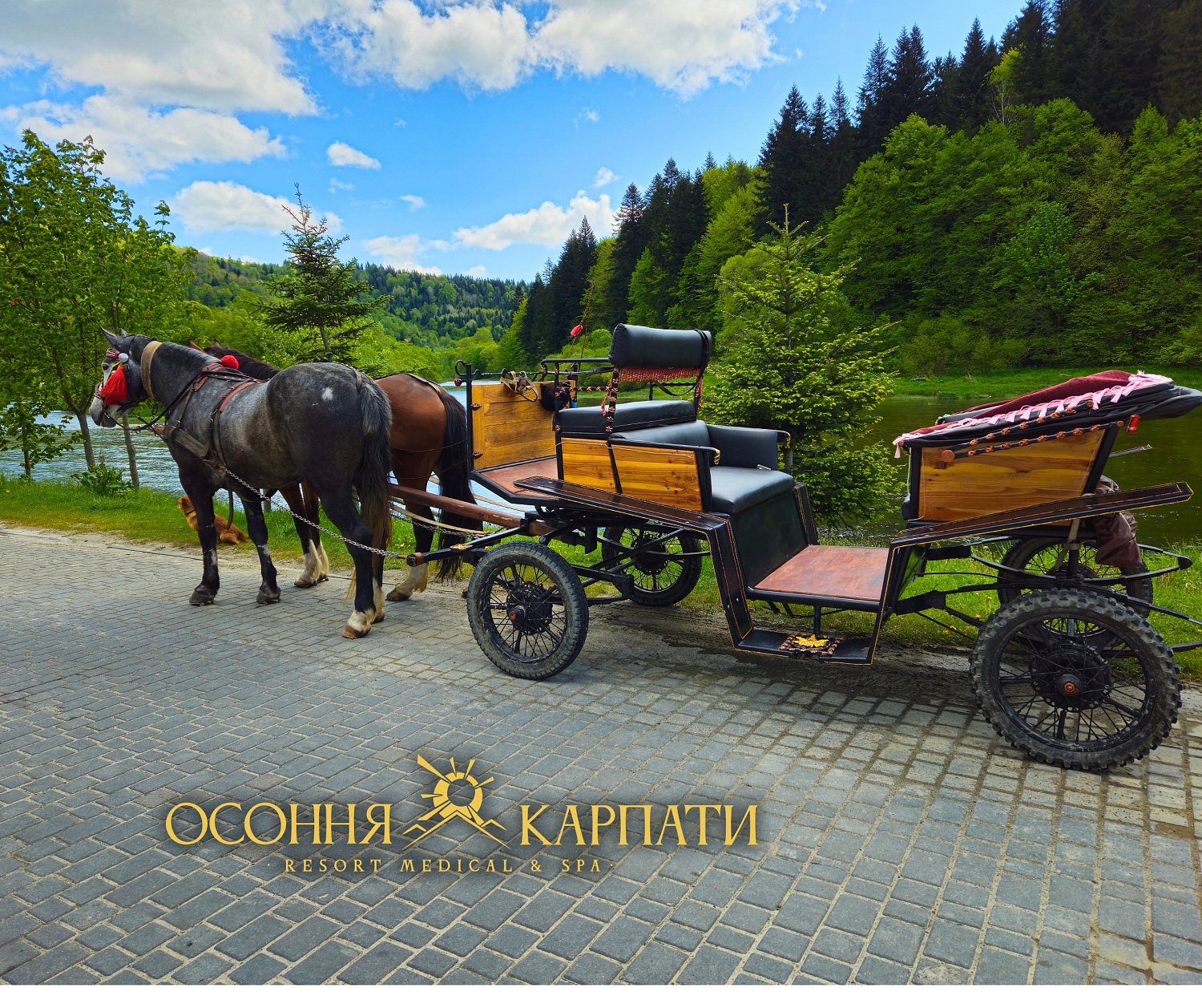 Прогулянки на кареті